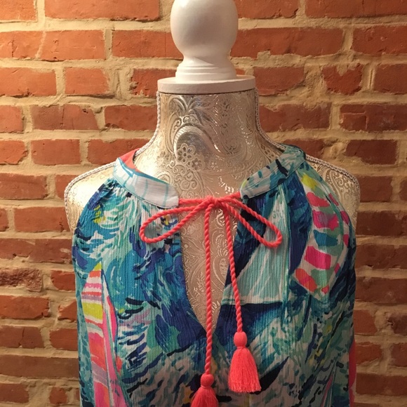 Lilly Pulitzer Roxi dress! - Picture 7 of 7